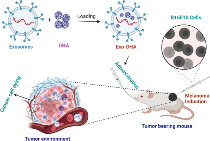Milk derived EVs for cancer treatment